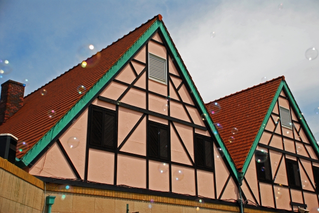 東京ドイツ村の当日券の買い方